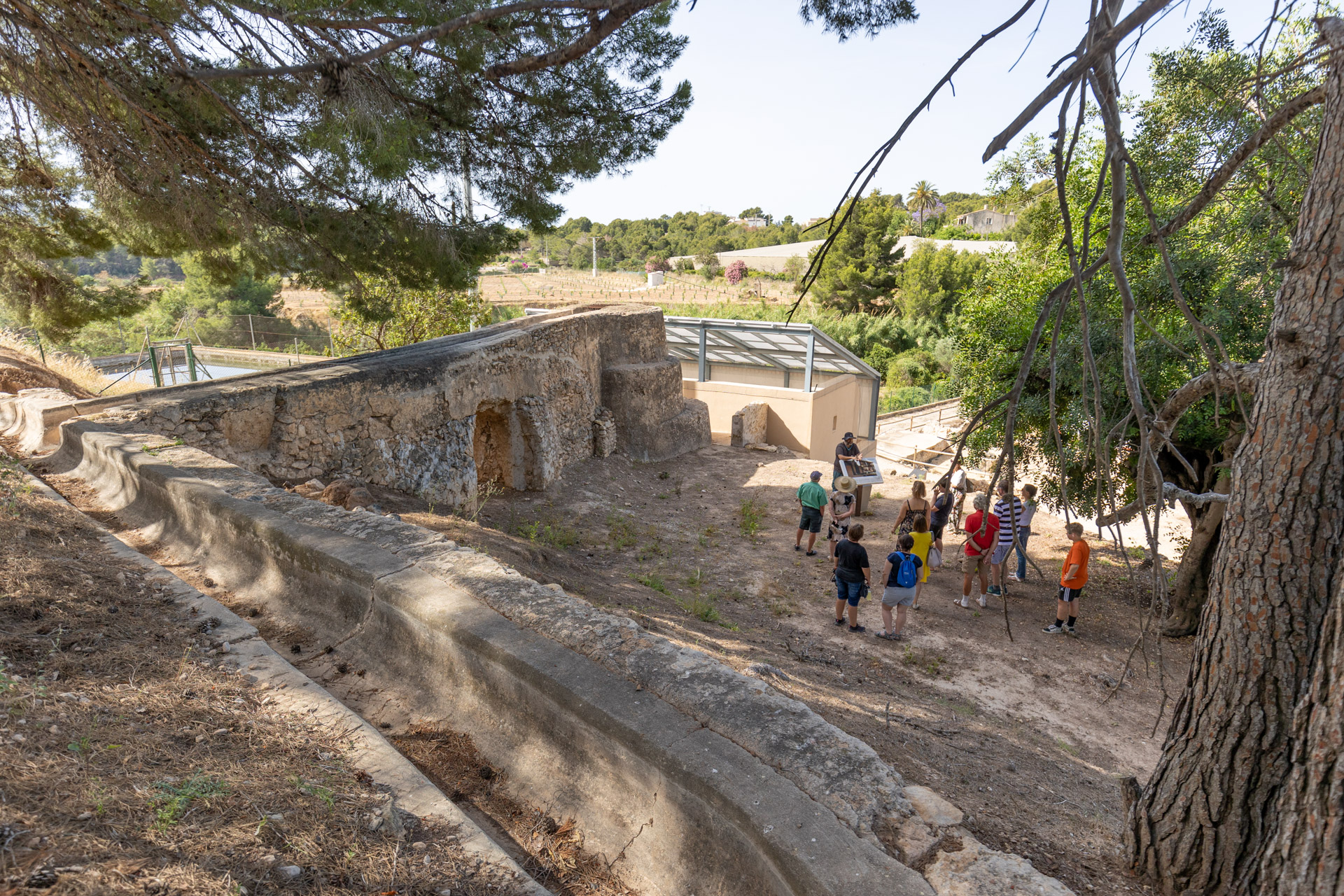 Manec Nueva visita guiada al Molí de Mànec el domingo 17 de diciembre - Alfàs ...